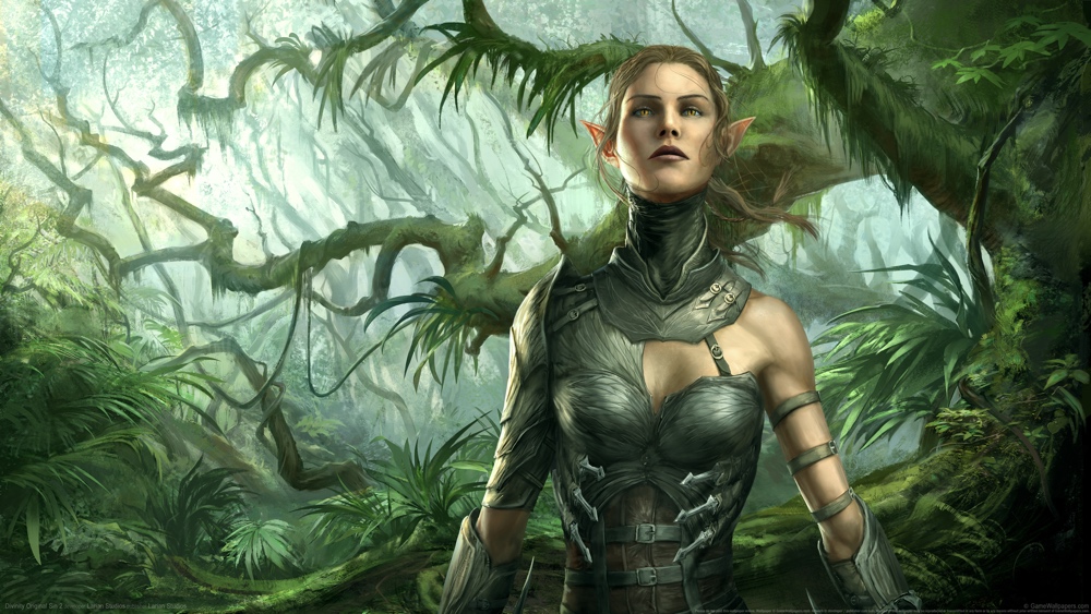 Divinity Original Sin 2