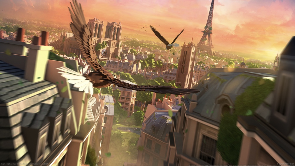 Eagle Flight Eagle Flight