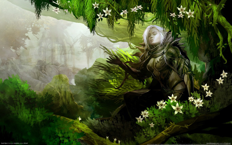 Guild Wars 2 Guild Wars 2