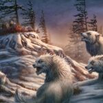 Kerem Beyit