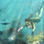 Lara Croft Tomb Raider Anniversary