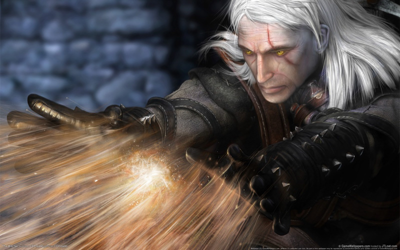 The Witcher The Witcher