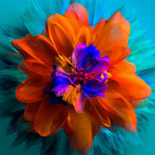Floral Background Colorful 3D Background Digital Art Wallpaper