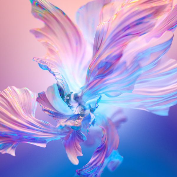 Floral Background Colorful Gradient Background Digital Art Wallpaper