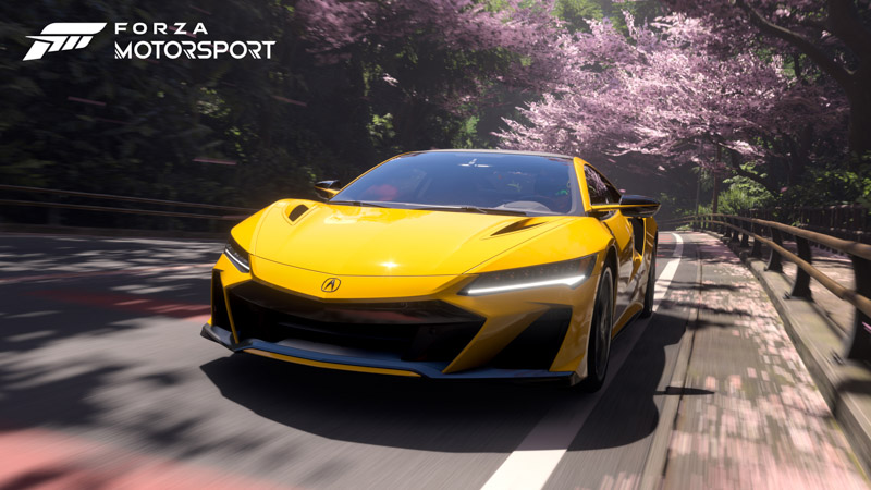 Forza Motorsport Wallpaper