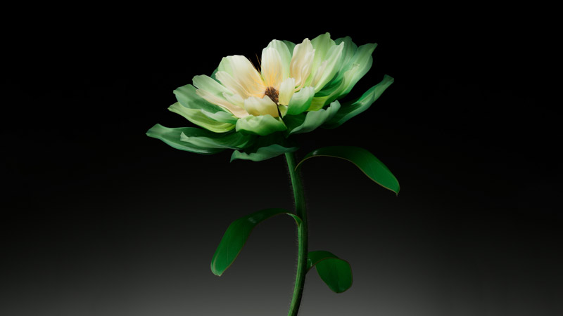 Green Flower Dark Wallpaper