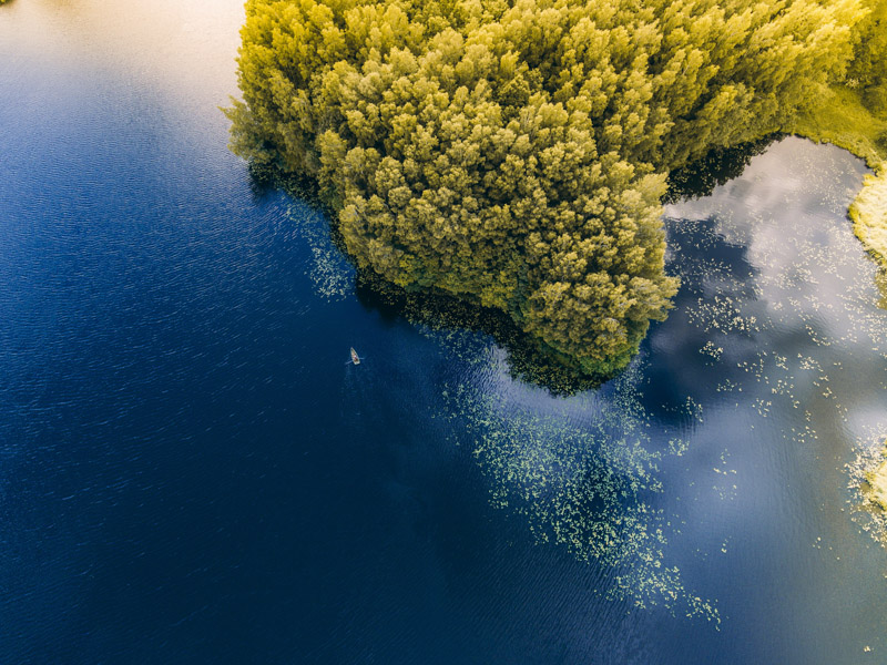 Green Forest Aerial View Body Of Water Birds Eye View Lake Wallpaper