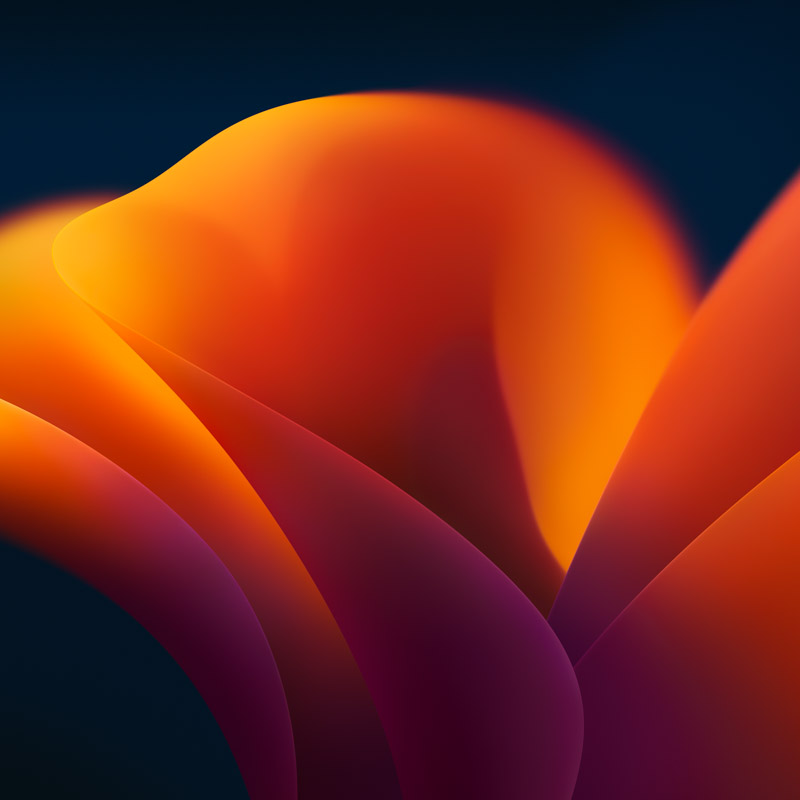 Macos 13 Official Stock Wallpaper Dark 6016X6016 Postercastle.Com Wallpaper