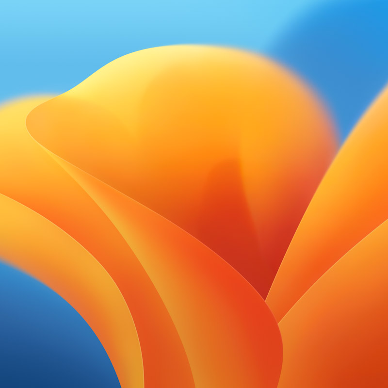 Macos 13 Official Stock Wallpaper Light 6016X6016 Postercastle.Com Wallpaper