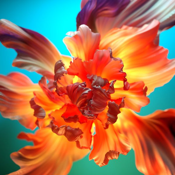 Orange Flower Floral Background Colorful 3D Background Wallpaper