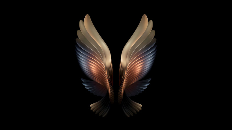 Samsung Galaxy W22 Wings Black Background Stock Fold Phone Wallpaper