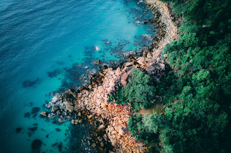 Seashore Coastline Rocks Green Trees Blue Water Ocean Wallpaper