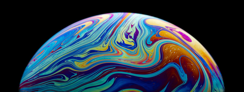 Soap Bubble Modern Art Painting Vibrant Plant Illustration Wallpaper
