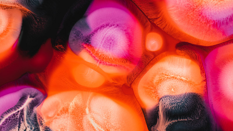 Vibrant Fluid Art Wallpaper
