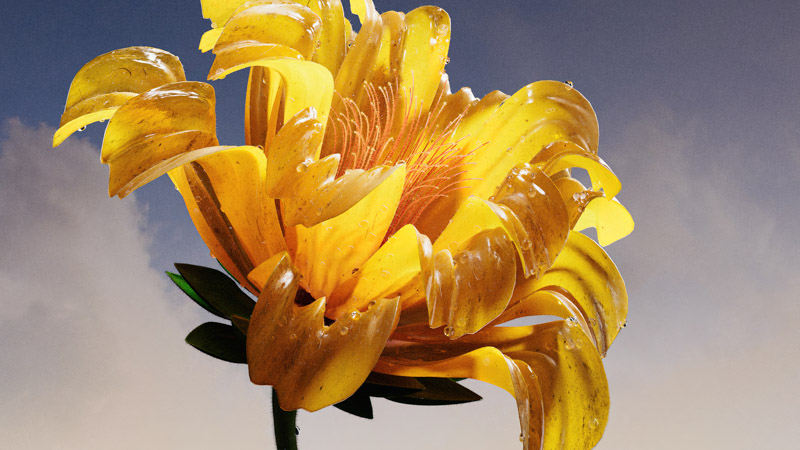 Vibrant Yellow Wallpaper