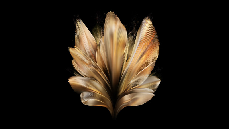 Vivo X Fold Amoled Wallpaper