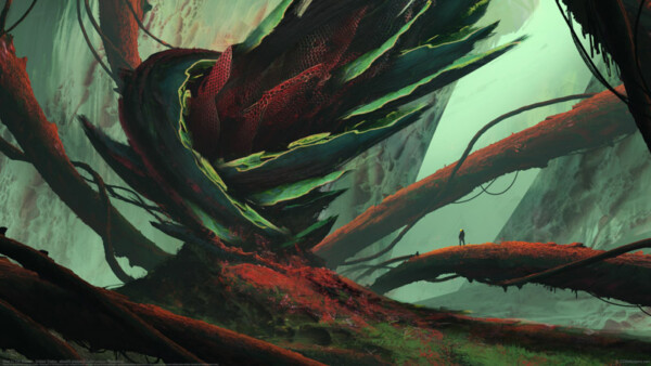 Tim Blandin