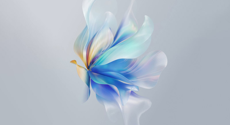 White Background Wallpaper