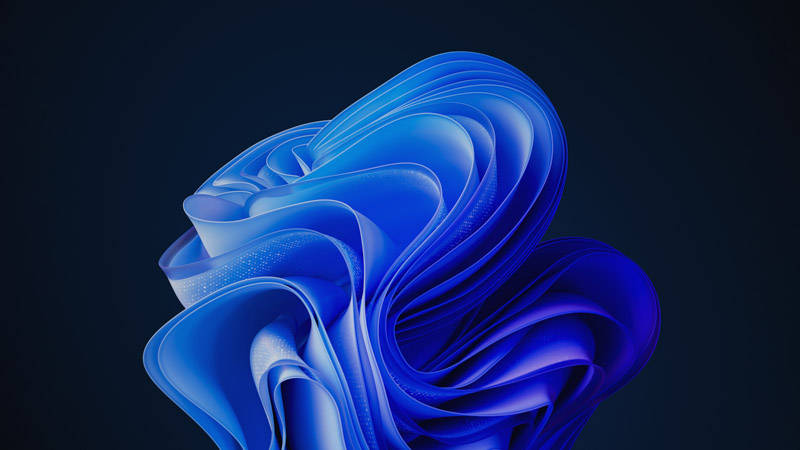 Windows 11 Bloom Wallpaper