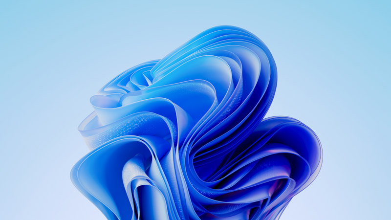 Windows 11 Bloom Wallpaper