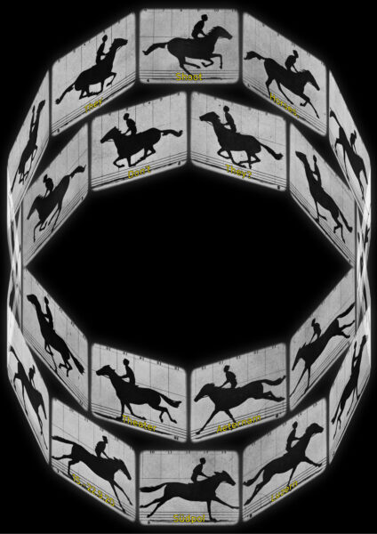 They Shoot Horses, Don't They